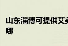 山東淄博可提供艾美特電風(fēng)扇維修服務(wù)地址在哪