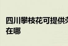 四川攀枝花可提供榮事達(dá)電風(fēng)扇維修服務(wù)地址在哪