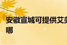 安徽宣城可提供艾美特電風(fēng)扇維修服務(wù)地址在哪