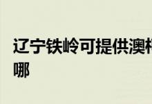 遼寧鐵嶺可提供澳柯瑪電風(fēng)扇維修服務(wù)地址在哪