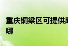 重慶銅梁區(qū)可提供康佳電風(fēng)扇維修服務(wù)地址在哪