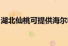 湖北仙桃可提供海爾電風(fēng)扇維修服務(wù)地址在哪