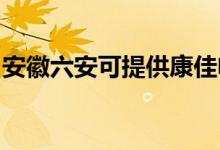 安徽六安可提供康佳電風(fēng)扇維修服務(wù)地址在哪