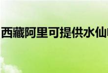 西藏阿里可提供水仙電風(fēng)扇維修服務(wù)地址在哪