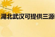 湖北武漢可提供三源電風(fēng)扇維修服務(wù)地址在哪
