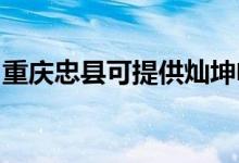 重慶忠縣可提供燦坤電風(fēng)扇維修服務(wù)地址在哪