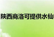 陜西商洛可提供水仙電風(fēng)扇維修服務(wù)地址在哪
