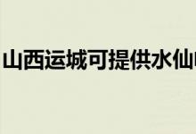 山西運(yùn)城可提供水仙電風(fēng)扇維修服務(wù)地址在哪