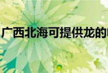 廣西北?？商峁埖碾婏L(fēng)扇維修服務(wù)地址在哪