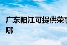 廣東陽江可提供榮事達(dá)電暖器維修服務(wù)地址在哪