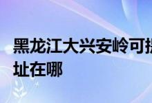 黑龍江大興安嶺可提供康佳電暖器維修服務(wù)地址在哪
