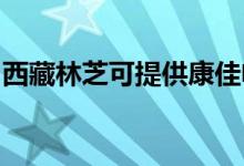 西藏林芝可提供康佳電暖器維修服務(wù)地址在哪