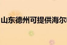 山東德州可提供海爾電暖器維修服務地址在哪