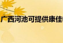 廣西河池可提供康佳電暖器維修服務地址在哪