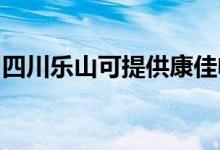 四川樂山可提供康佳電暖器維修服務(wù)地址在哪