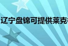 遼寧盤(pán)錦可提供萊克榨汁機(jī)維修服務(wù)地址在哪