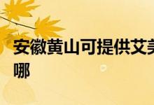 安徽黃山可提供艾美特榨汁機維修服務(wù)地址在哪