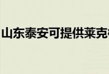 山東泰安可提供萊克榨汁機(jī)維修服務(wù)地址在哪
