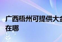 廣西梧州可提供大金空氣凈化器維修服務地址在哪
