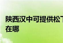 陜西漢中可提供松下空氣凈化器維修服務地址在哪
