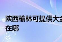 陜西榆林可提供大金空氣凈化器維修服務地址在哪