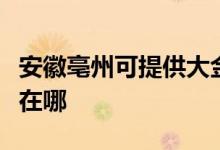 安徽亳州可提供大金空氣凈化器維修服務地址在哪