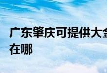 廣東肇慶可提供大金空氣凈化器維修服務地址在哪