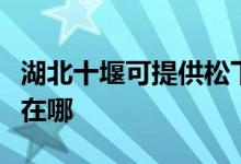 湖北十堰可提供松下空氣凈化器維修服務地址在哪