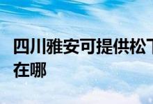 四川雅安可提供松下空氣凈化器維修服務地址在哪