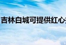 吉林白城可提供紅心掛燙機維修服務地址在哪