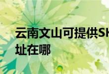 云南文山可提供SKG空氣凈化器維修服務地址在哪