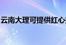 云南大理可提供紅心掛燙機維修服務地址在哪