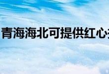 青海海北可提供紅心掛燙機維修服務地址在哪