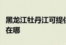 黑龍江牡丹江可提供紅心掛燙機維修服務地址在哪