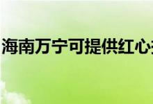 海南萬寧可提供紅心掛燙機維修服務地址在哪
