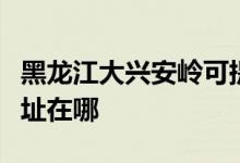 黑龍江大興安嶺可提供海爾掛燙機維修服務地址在哪