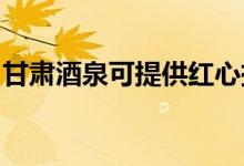 甘肅酒泉可提供紅心掛燙機維修服務地址在哪