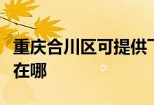 重慶合川區(qū)可提供飛利浦掛燙機維修服務地址在哪
