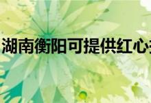 湖南衡陽可提供紅心掛燙機維修服務地址在哪
