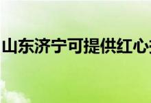 山東濟寧可提供紅心掛燙機維修服務地址在哪