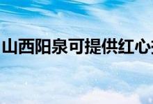 山西陽泉可提供紅心掛燙機維修服務地址在哪