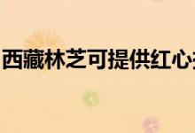 西藏林芝可提供紅心掛燙機維修服務地址在哪