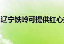 遼寧鐵嶺可提供紅心掛燙機維修服務地址在哪