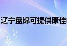 遼寧盤錦可提供康佳電吹風維修服務(wù)地址在哪