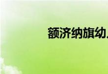 額濟(jì)納旗幼兒園的地址在哪