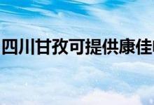 四川甘孜可提供康佳電吹風維修服務(wù)地址在哪