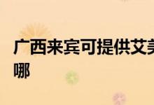 廣西來賓可提供艾美特除濕機維修服務(wù)地址在哪
