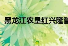 黑龍江農墾紅興隆管理局幼兒園的地址在哪