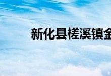新化縣槎溪鎮(zhèn)金溪中學(xué)的地址在哪