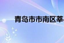 青島市市南區(qū)莘縣路小學(xué)的地址在哪